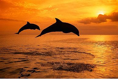 欧美服PS Plus 3月会免游戏公布：《龙腾世纪：影障守护者》等