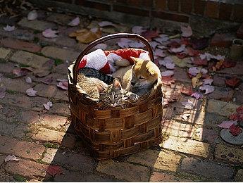 Remedy与Epic合作《心灵杀手2》 已进入全面开工