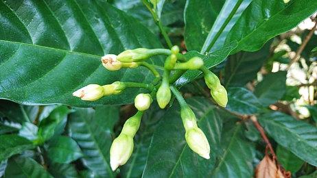 《星刃》新主视觉图 女主穿紧身战衣秀曼妙身材